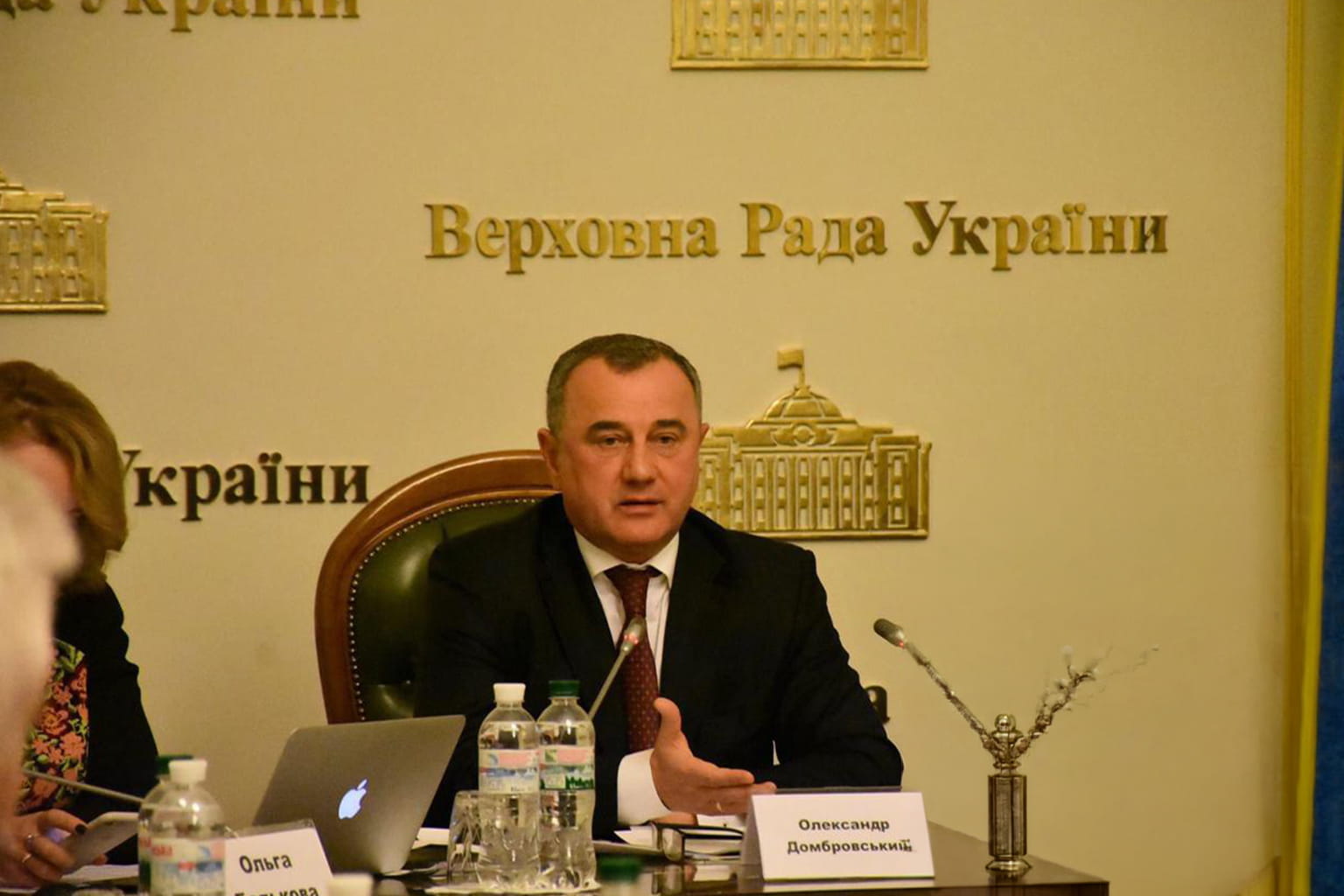 Олександр Домбровський — Формування державної політики, 2012–2019
