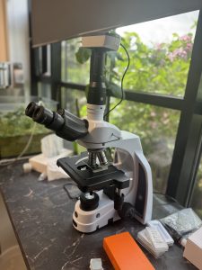 Наш Green Innovation Lab — це не тільки про R&D і технології. Це пошук рішень та реакція на глобальні виклики